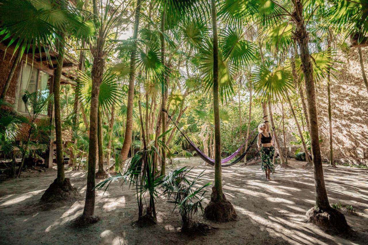 Hidden Treehouse Tulum Eco-Hotel 외부 사진