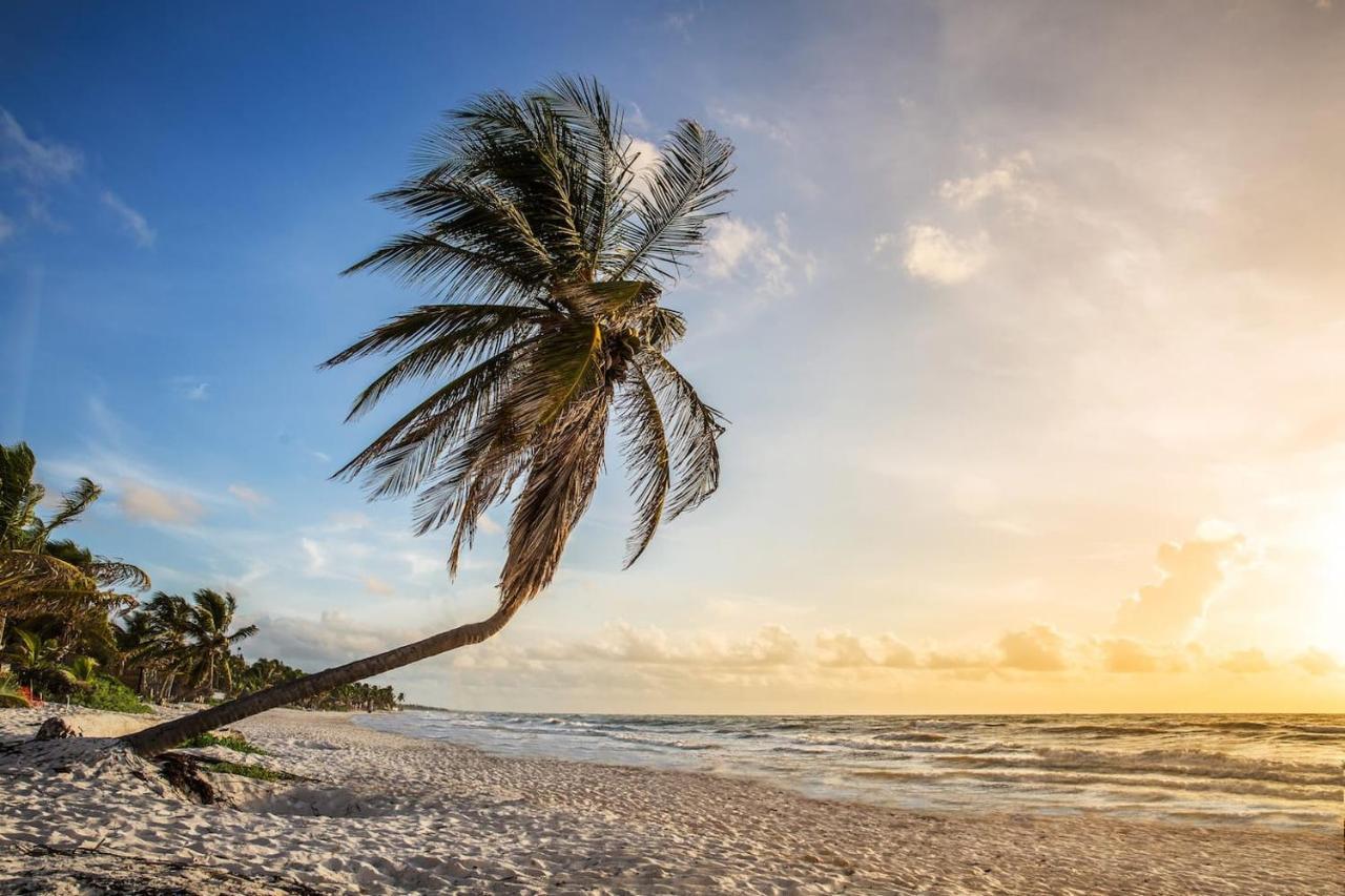 Hidden Treehouse Tulum Eco-Hotel 외부 사진